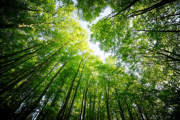 We menen dat duurzaamheid erg belangrijk is We menen dat duurzaamheid erg belangrijk is